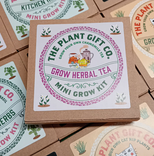 Mini Plant Growing Gift - Herbal Tea