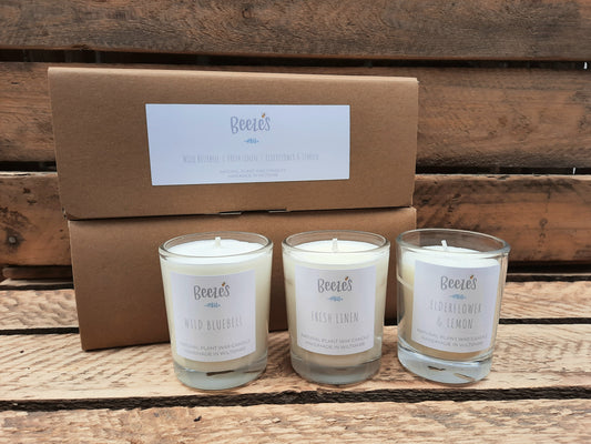 Gift Set of 3 Glass Votive Plant Wax Candles
