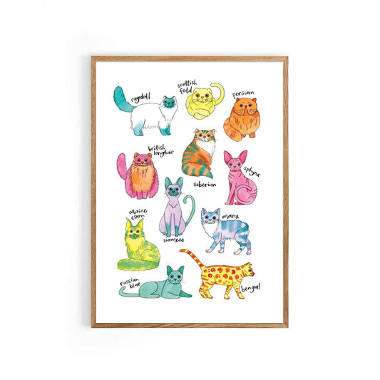 Colourful Cats A4 Art Print