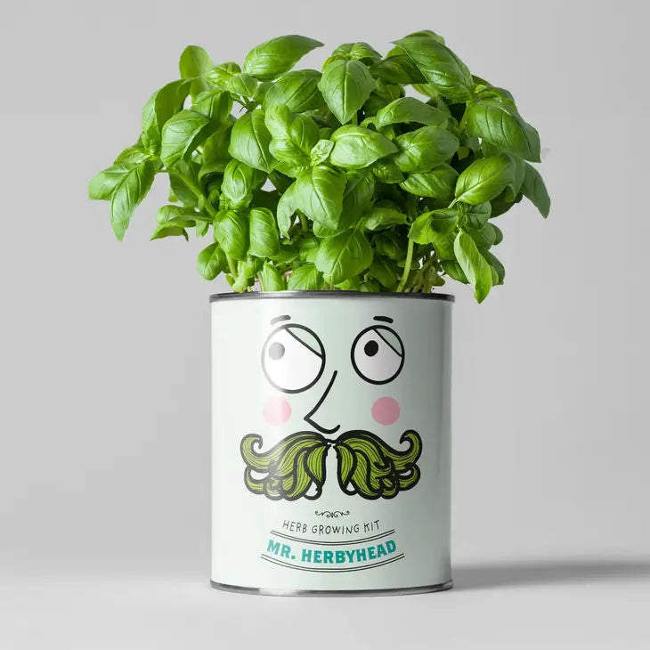 Plant Growing Gift - Mr Herbyhead