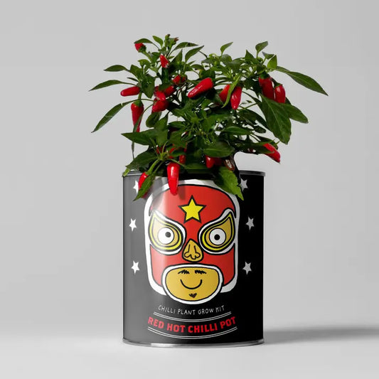 Plant Growing Gift - Chilli