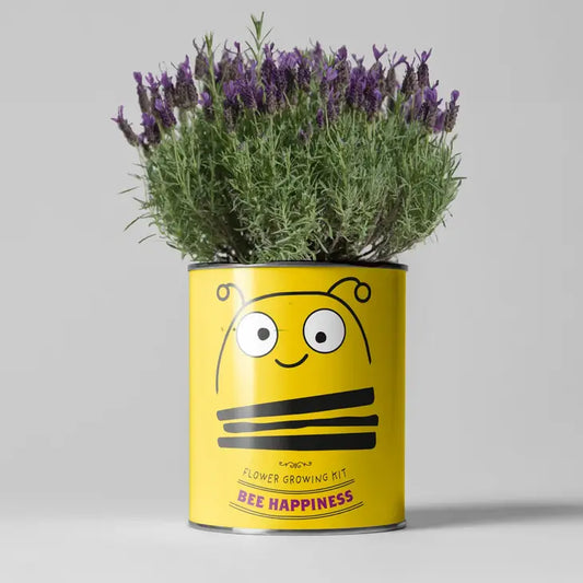Plant Growing Gift - Bee