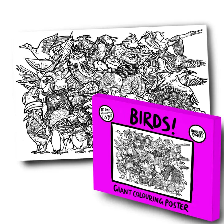 Birds Giant Colouring Poster