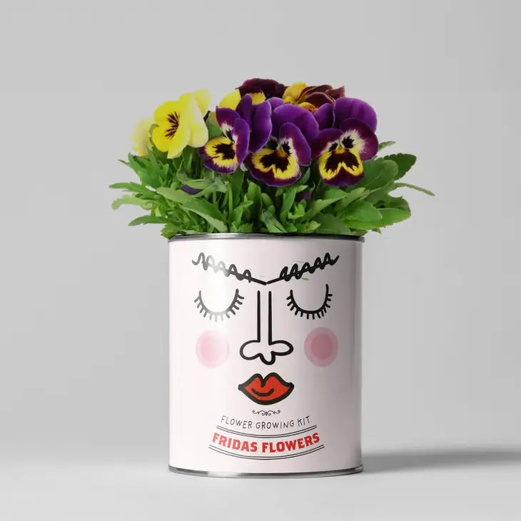 Plant Growing Gift - Frida Flowers