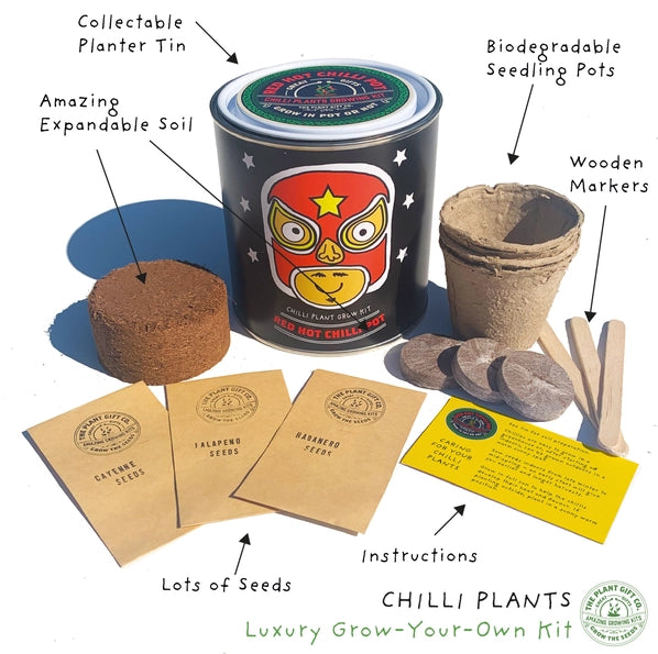 Plant Growing Gift - Chilli