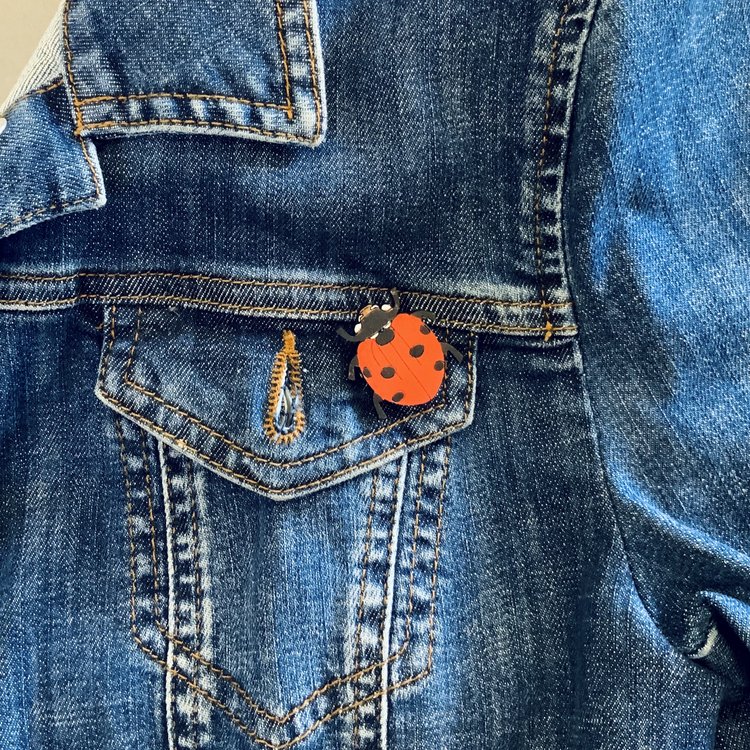 Ladybird Hand Painted Mini Pin