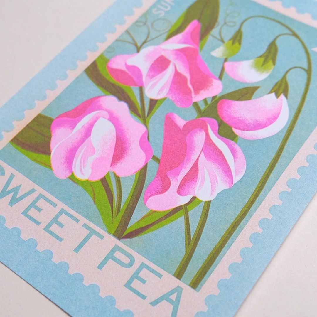 Sweet Pea A5 Risograph Print