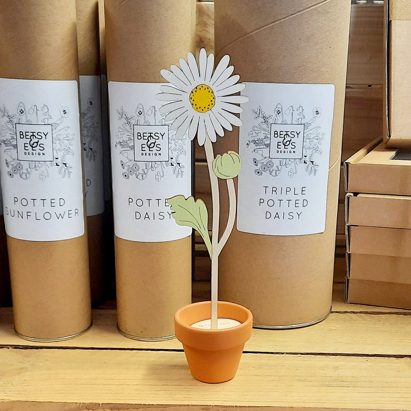 Potted Wooden Daisy