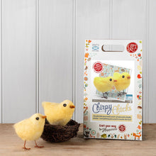 Load image into Gallery viewer, Chirpy Chicks Needle Felting Kit
