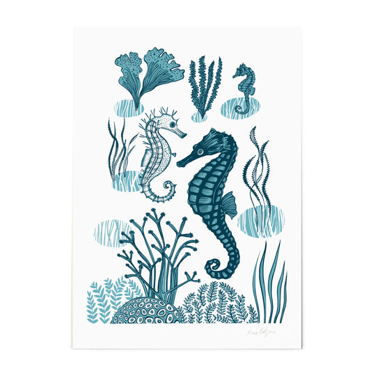 Seahorse A3 Print