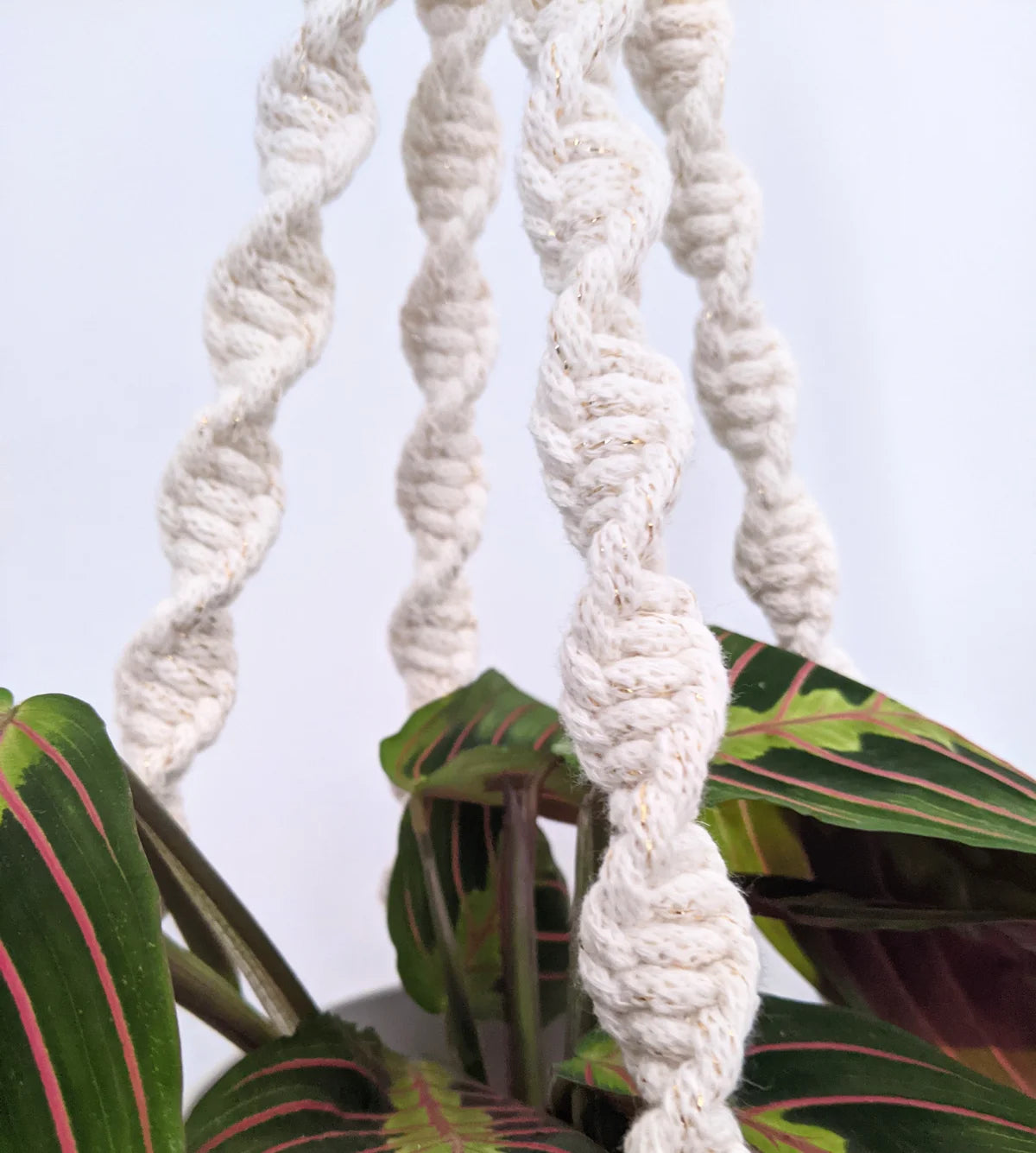 Spiral Knot Macrame Plant Hangers