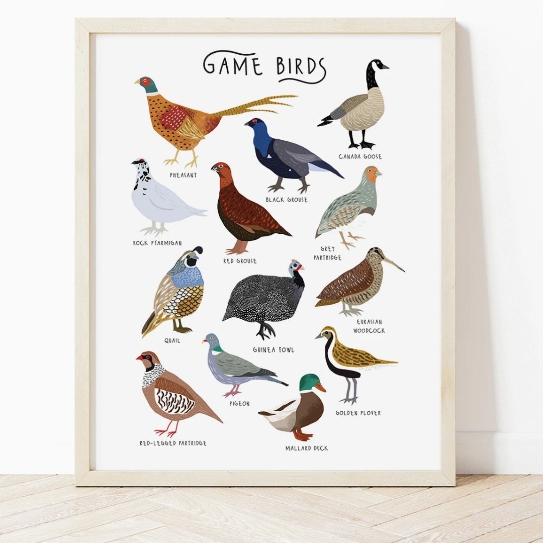 Game Birds Collection Art Print